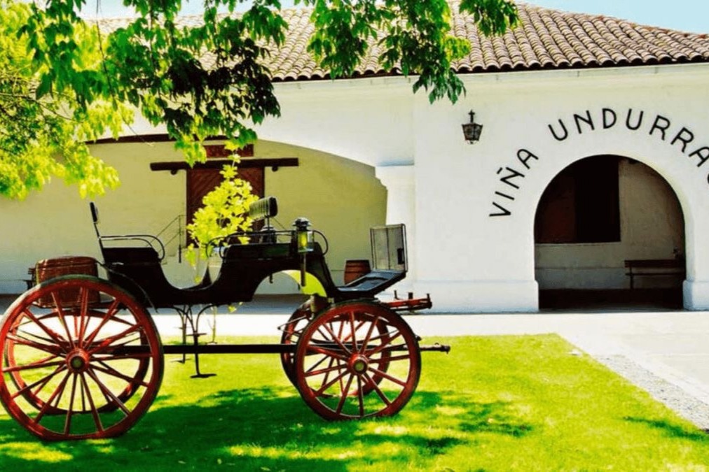 Ruta del Vino en el Valle de Colchagua