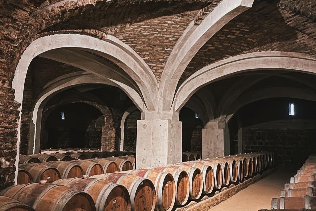 Full Day Viñas Undurraga y Concha y Toro 