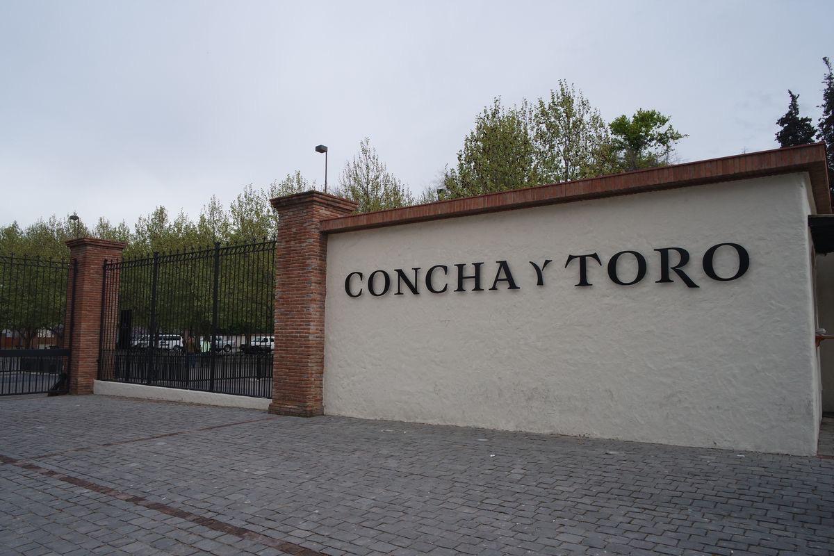 Full Day Viñas Undurraga y Concha y Toro 