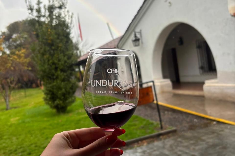 Full Day Viñas Undurraga y Concha y Toro 