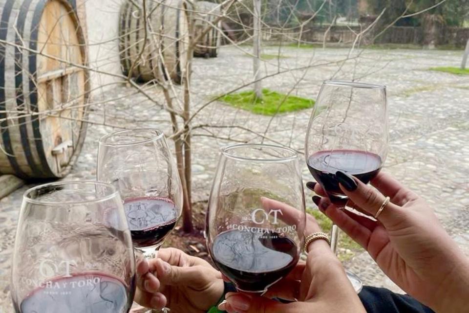 Full Day Viñas Undurraga y Concha y Toro 